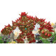 Knack 2 - Include Arabic - Used Like New | PS4 Knack 2 - Include Arabic - Used Like New | PS4