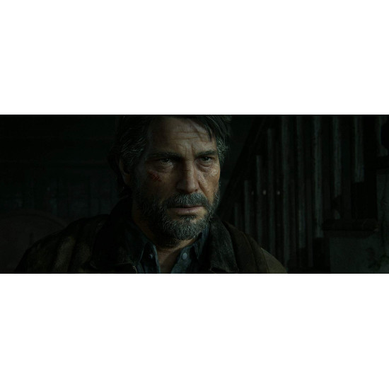 The Last Of Us Part II - PlayStation 4 The Last Of Us Part II - PlayStation 4